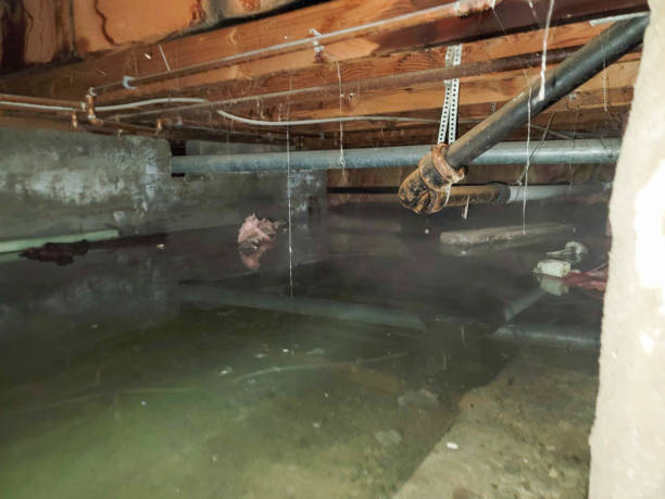Best Ceiling water damage repair  in Security Widefield, CO