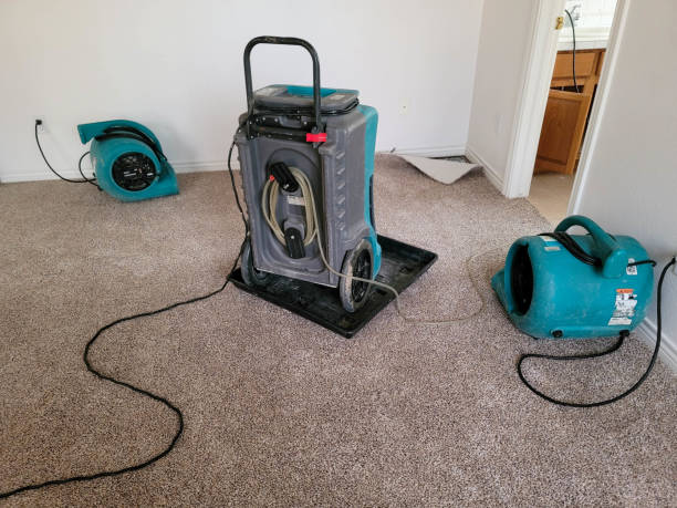 Best Water damage restoration specialists  in Security Widefield, CO