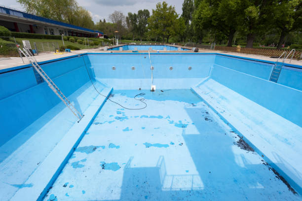 Best Water damage cleanup near me  in Security Widefield, CO