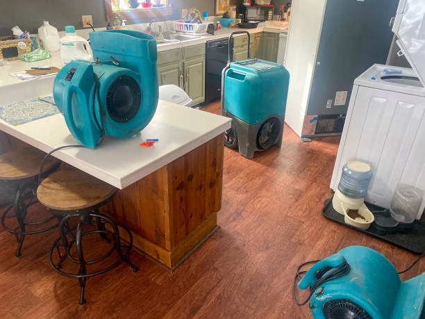Best Basement water damage restoration  in Security Widefield, CO