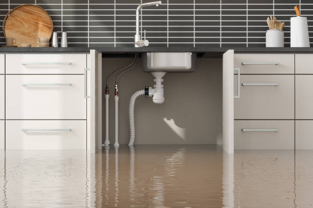 Best Fire Damage Restoration  in Security Widefield, CO
