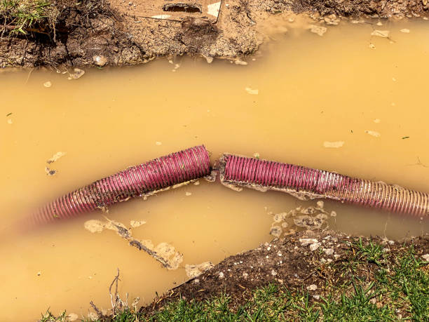 Best Water damage contractors near me  in Security Widefield, CO