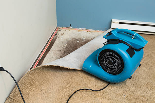 Best Water damage contractors near me  in Security Widefield, CO